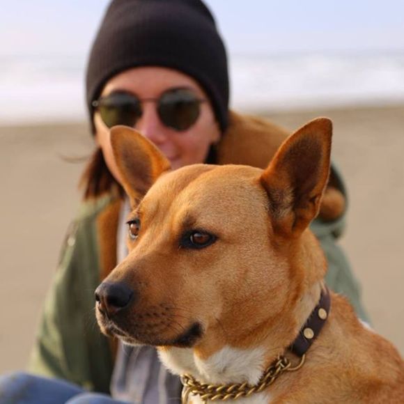 Meet your Posher, Jessie - Picture 5 of 5